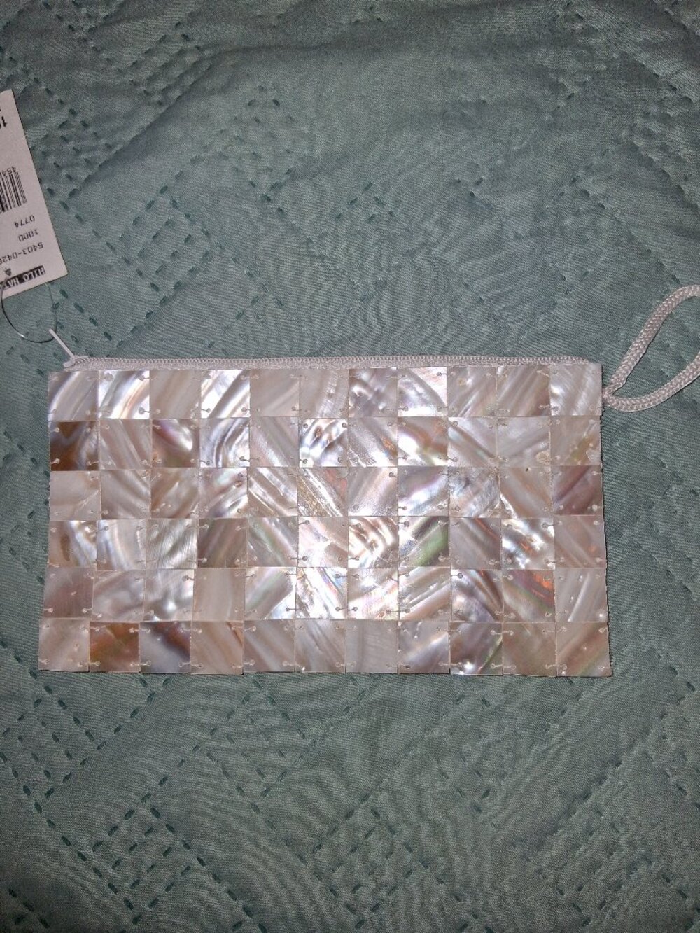 NWT - Mother of Pearl Small Bag